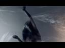 Jin Monic - Coalesce